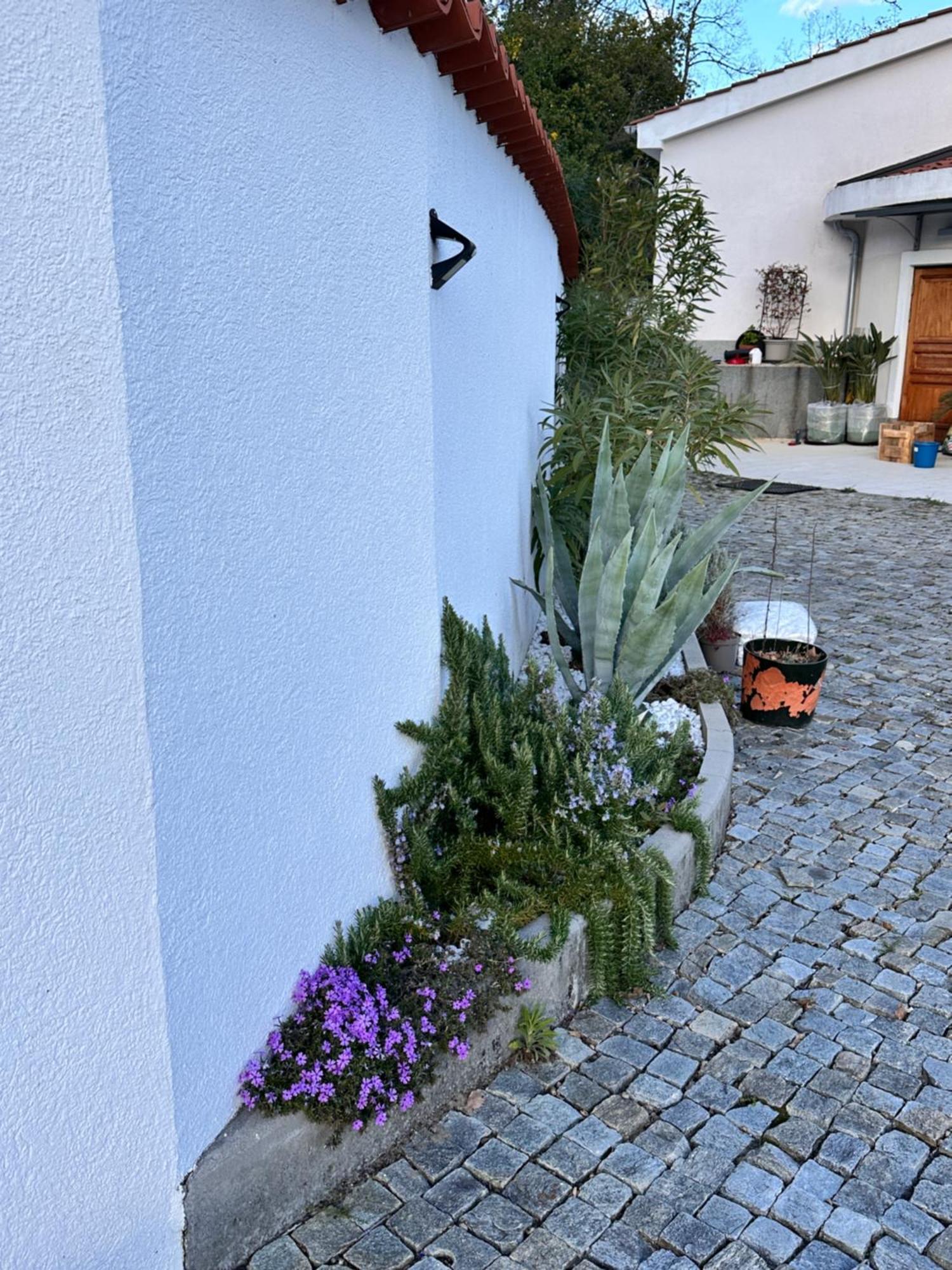 Dreamtime - One Badroom And 1 Livingroom Apartment Veprinac Esterno foto